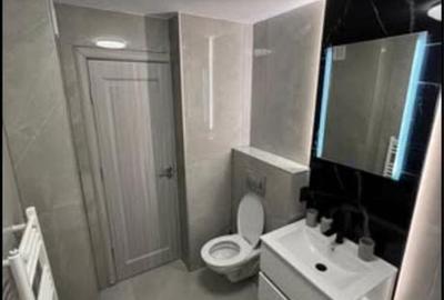 Apartament cu 2 camere decomandat în Gorjului - 8