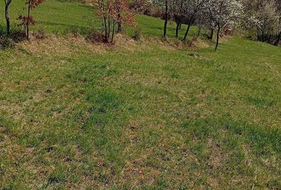 Teren de 2800 mp, în Ormindea - 3