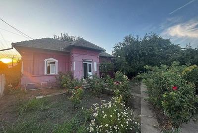 Casă individuală cu 3 camere cu Teren 2500 Mp în Boureni