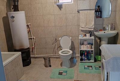 Casă cu 3 camere cu Teren 973 Mp în Pustiniș - 9
