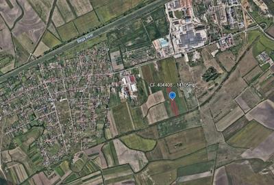 Teren de 10000 mp, în Sânmihaiu Român - 1