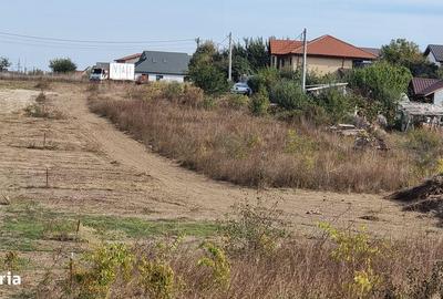 Teren de 490 mp, în Malu Mare - 3
