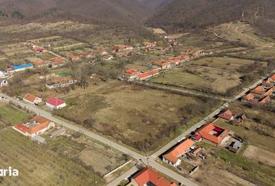 Casă cu 8 camere cu Teren 7235 Mp în Traian Vuia - 6