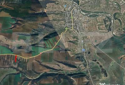 Teren în Podari - 1