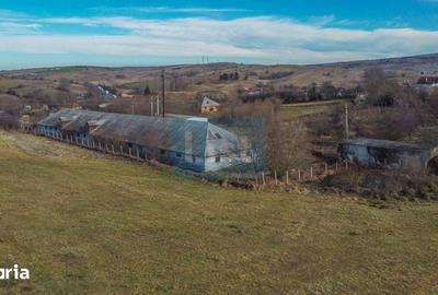 Teren de 7400 mp, în Căpușu Mare - 7