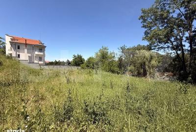 Spațiu comercial, în Leamna de Jos - 3