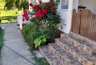 Casă individuală cu 2 camere cu Teren 1800 Mp în Cornița