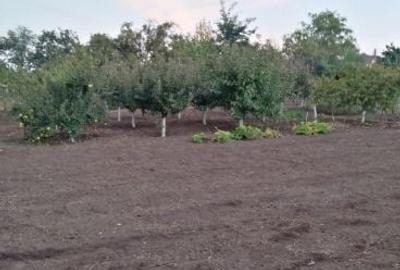 Casă cu 4 camere în Grivița - 1