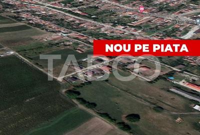 Teren Construcții intravilan de 24000 mp, în Șura Mare - 1