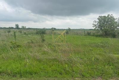 Teren Construcții intravilan de 600 mp, în Domnești - 2