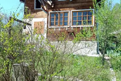 Teren de 2281 mp, în Cosmina de Sus - 2