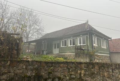 Casă cu 3 camere în Dobricionești - 3