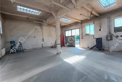 Spațiu industrial, de 300 mp, în Cisnădie - 1