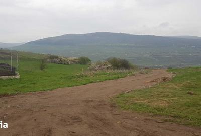 Teren de 1000 mp, în Baciu - 2