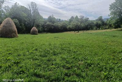 Casă cu 3 camere în Breb - 1