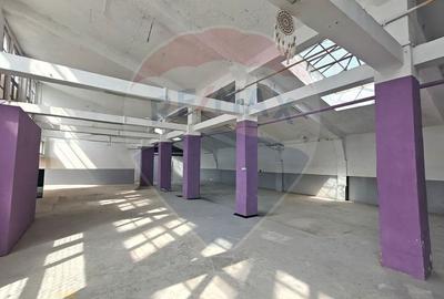 Spațiu industrial, de 468 mp, în Bulgaria - 2