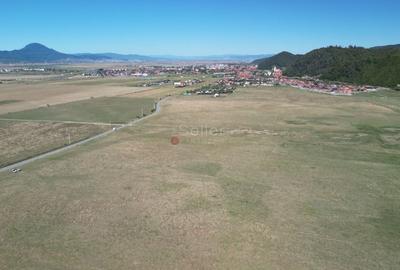 Teren Construcții extravilan de 14500 mp, în Glăjărie - 2