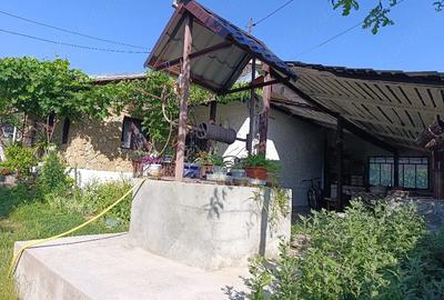 Casă cu 3 camere cu Teren 4300 Mp în Ciucurova