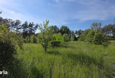 Teren de 1380 mp, în Goranu - 9