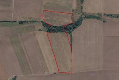 Teren de 110000 mp, în Petrovaselo