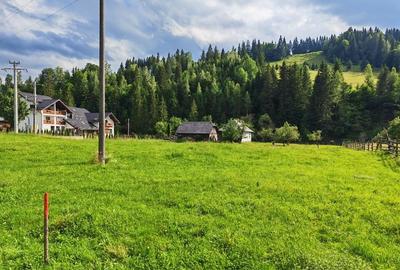 Spațiu comercial, în Pojorâta - 2