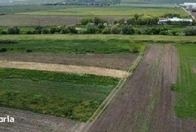 Teren de 2000 mp, în Banca - 1