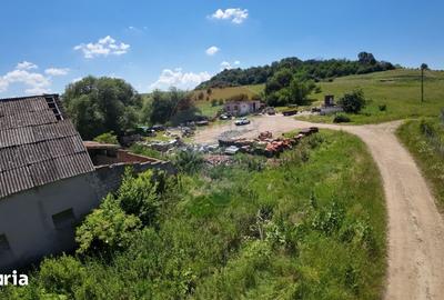 Teren de 2463 mp, în Daneș
