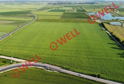 Teren agricol extravilan de 45000 mp, în Chichiș - 3