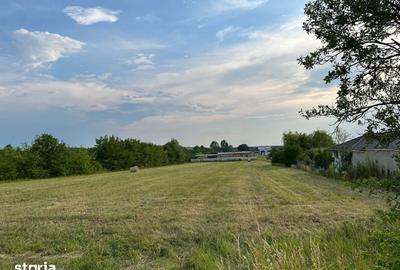 Teren de 800 mp, în Viile Satu Mare