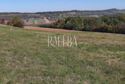 Teren agricol extravilan de 470000 mp, în Borăscu - 2