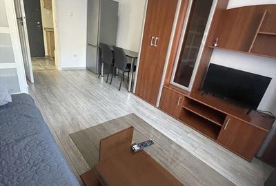 Garsonieră în Dosu Bricii - 3
