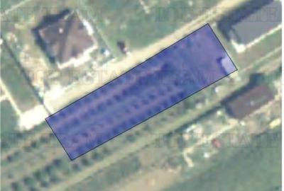 Teren Construcții intravilan de 963 mp, în Moara Vlăsiei - 2