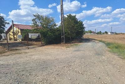 Teren de 10000 mp, în Mihail Kogălniceanu - 2