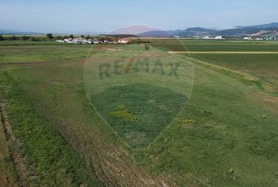 Teren Construcții intravilan de 39500 mp, în Vințu de Jos - 2