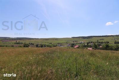 Teren de 3834 mp, în Vultureni - 3