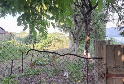 Casă cu 3 camere cu Teren 2700 Mp în Cenaloș