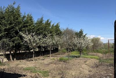 Casă cu 4 camere în Fișcălia - 2