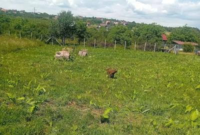 Teren de 500 mp, în Daia