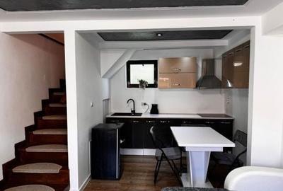 Casă cu 2 camere în Dorobanți - 6
