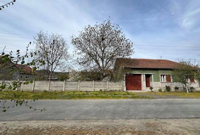 Casă cu 3 camere cu Teren 1500 Mp în Criciova - 5