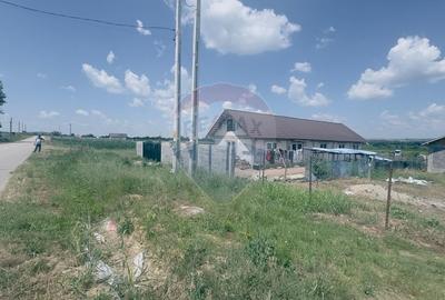 Teren Construcții intravilan de 3700 mp, în Coțofenii din Dos - 7