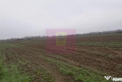 Teren de 2250 mp, în 1 Decembrie