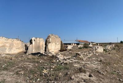 Teren intravilan de 12481 mp, în Mihail Kogălniceanu - 4