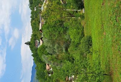 Teren de 4500 mp, în Moroeni - 2