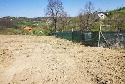 Teren în Calea Caransebeșului - 10