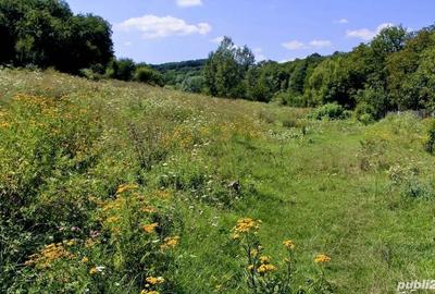 Teren de 50000 mp, în Zătreni - 5