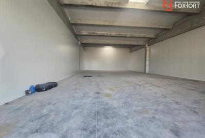 Spațiu industrial, de 524 mp, în Sânandrei - 1