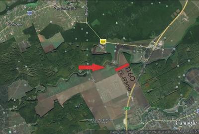 Teren de 28000 mp, în Snagov - 1