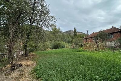 Casă cu 3 camere cu Teren 1500 Mp în Bogâltin - 5