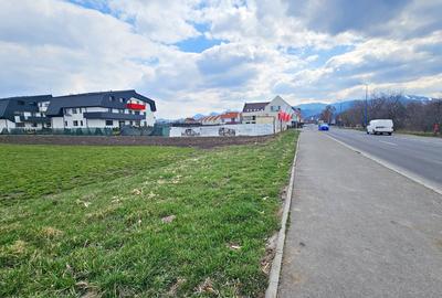 Teren Construcții intravilan de 19235 mp, în Bartolomeu - 5